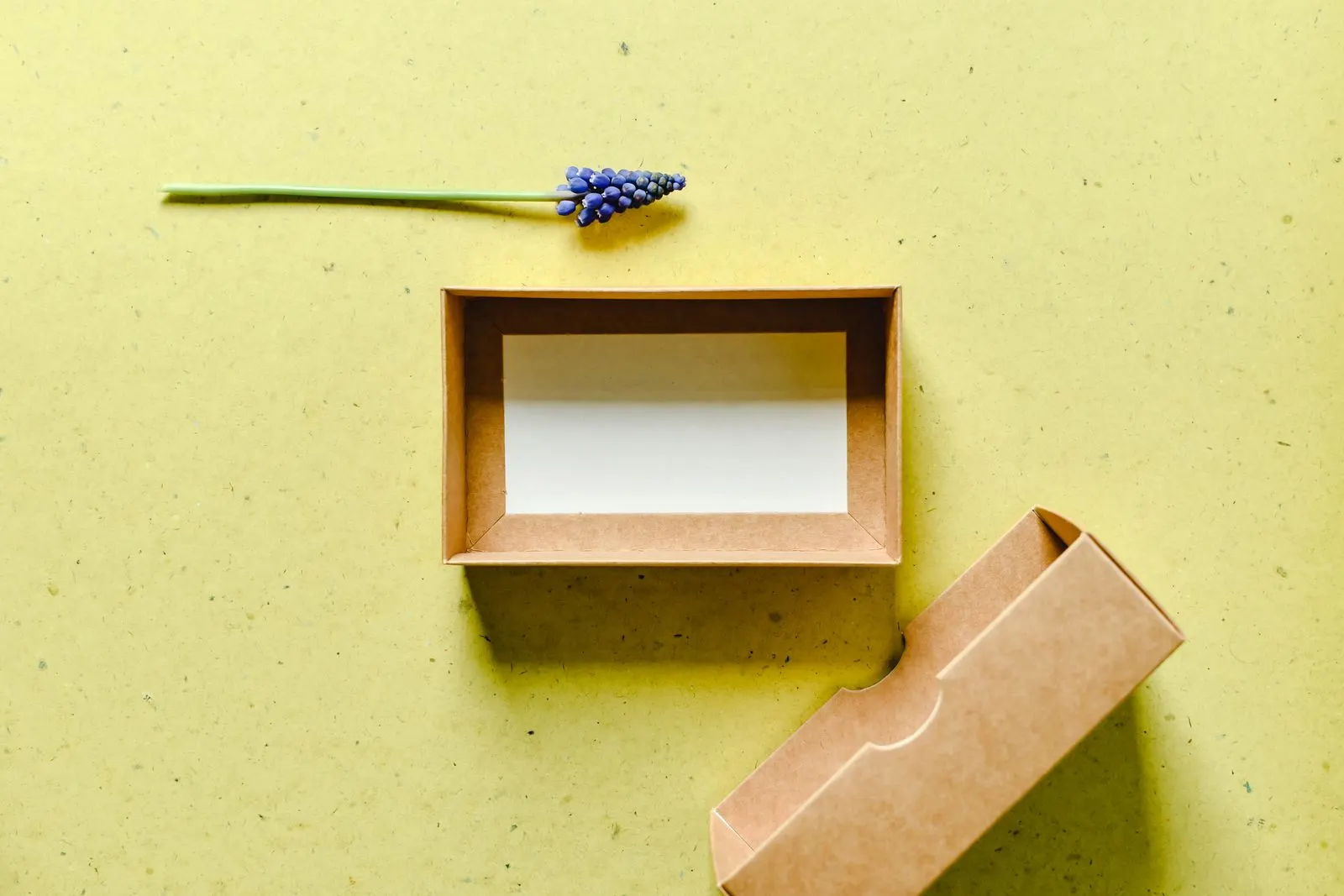 An open kraft sleeve and tray box with a white card inside, on a yellow background next to a small flower